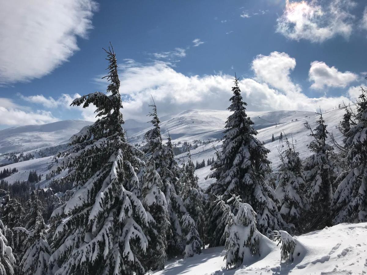 דראגובראט Alpin Eco Chalet & Wellness מראה חיצוני תמונה